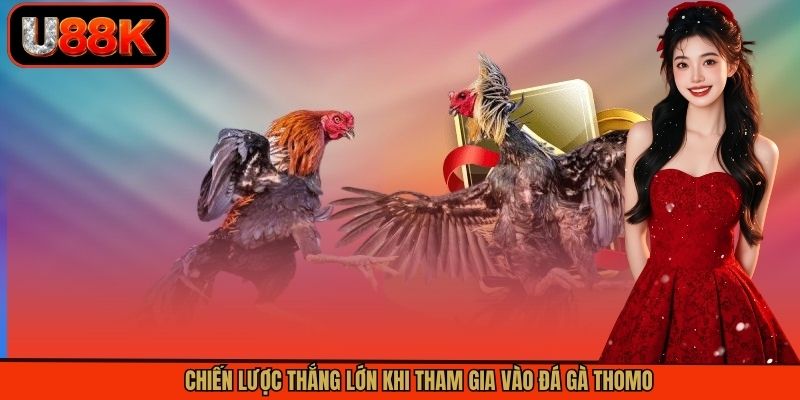 Thủ thuật đá gà Thomo thắng lớn khi tham gia tại U88 Thủ thuật đá gà Thomo thắng lớn khi tham gia tại U88