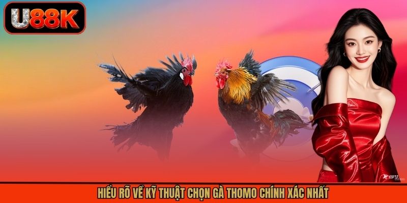 Hiểu rõ về kỹ thuật chọn gà Thomo chính xác nhất Hiểu rõ về kỹ thuật chọn gà Thomo chính xác nhất
