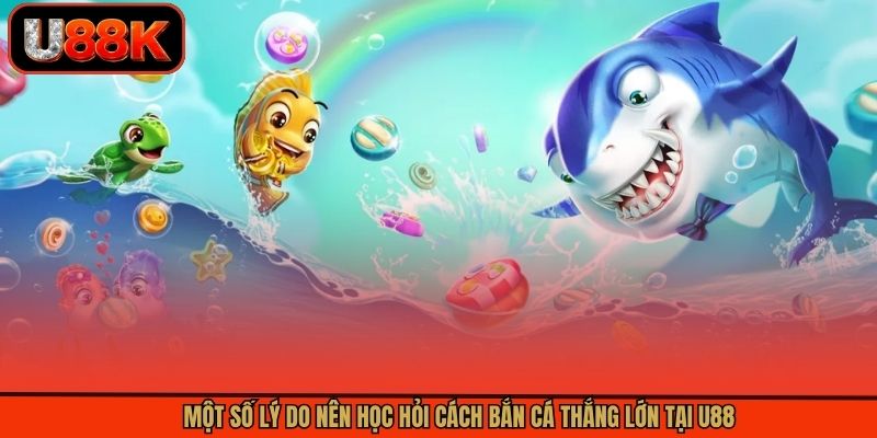 Một số lý do nên học hỏi cách bắn cá thắng lớn tại U88 Một số lý do nên học hỏi cách bắn cá thắng lớn tại U88