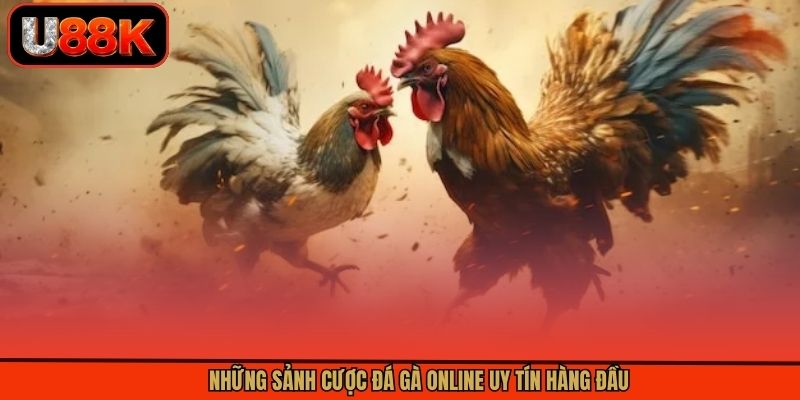 Những sảnh cược đá gà online uy tín hàng đầu Những sảnh cược đá gà online uy tín hàng đầu