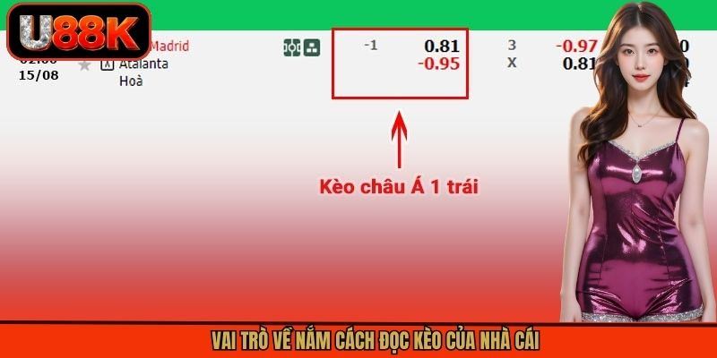 Vai trò về nắm cách đọc kèo của nhà cái
